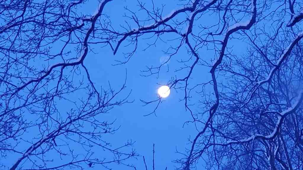 Closing This Chapter and Getting Back To&nbsp;Nomadic?