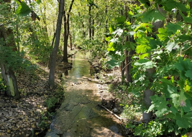A no name creek that runs through Warren IL