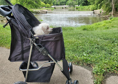Yellow Creek dam in Krape Park Freeport IL