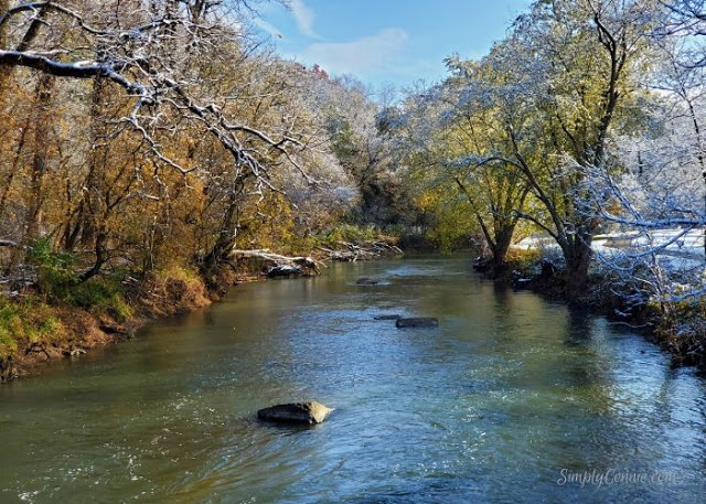 On the bridge over Yellow Creek in Krape Park, Freeport IL
