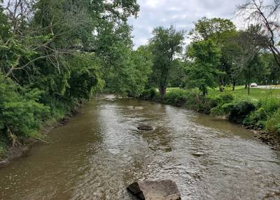 Yellow Creek Freeport IL