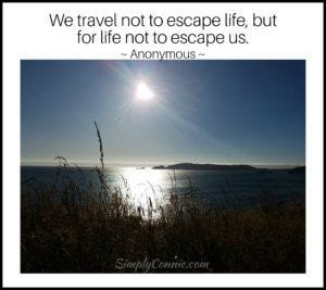 We travel not to escape life but for life not to escape us.