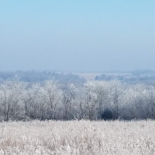 Hoar Frost Winter Adventures