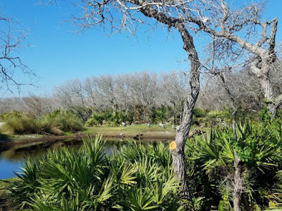 Northeast Florida Hwy A1A