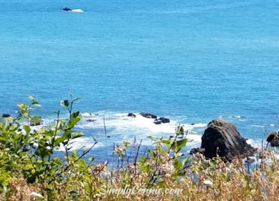 pacific ocean scenic byway hwy 101