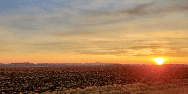 December Is Half Over Already!? Exhaustion Sets&nbsp;In