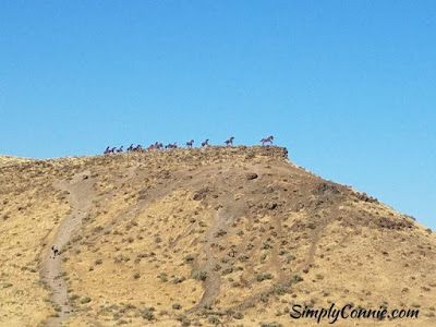 wild horses monument