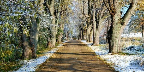 Dad Leaves The Hospital – Cookie Visits&nbsp;Grandpaw