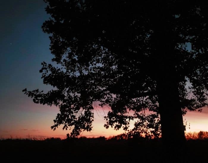 Sunset Camp A While campground in Lincoln IL.