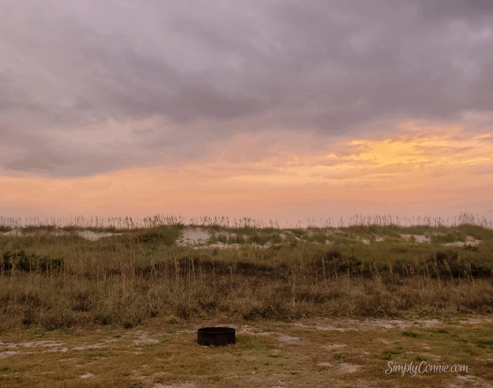 The dunes. Outer Banks NC