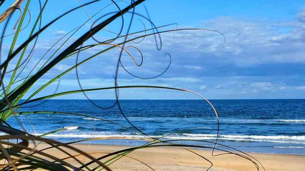 Needing A Chiropractor While On The Road