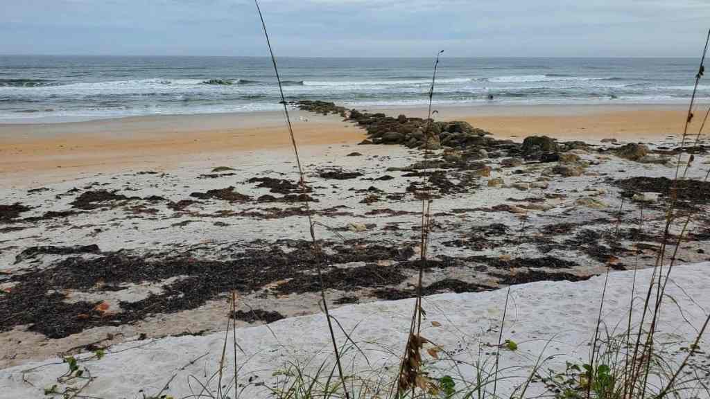 St Augustine FL – Getting Lab Work Done While On The Road