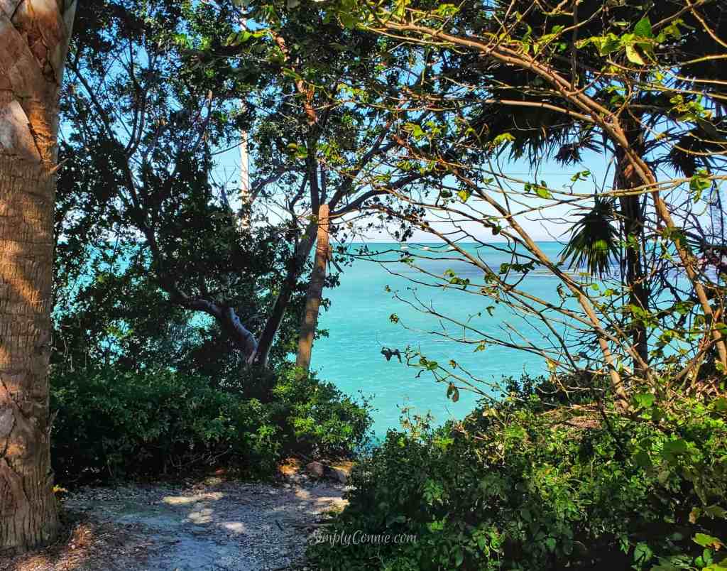 Gulf of Mexico - Islamorada FL