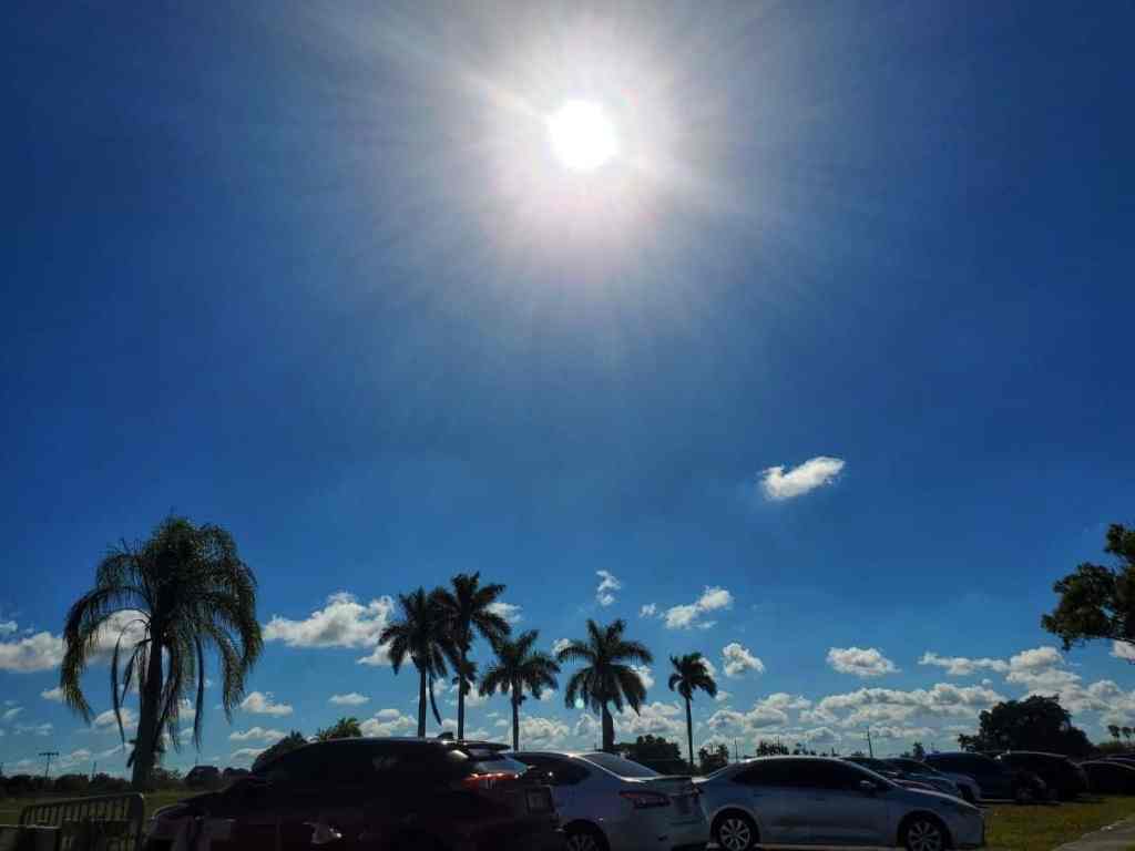 Sun shining on the palm trees as we wait in the car at the Homestead Air Reserve Covid testing center in Homestead Florida.