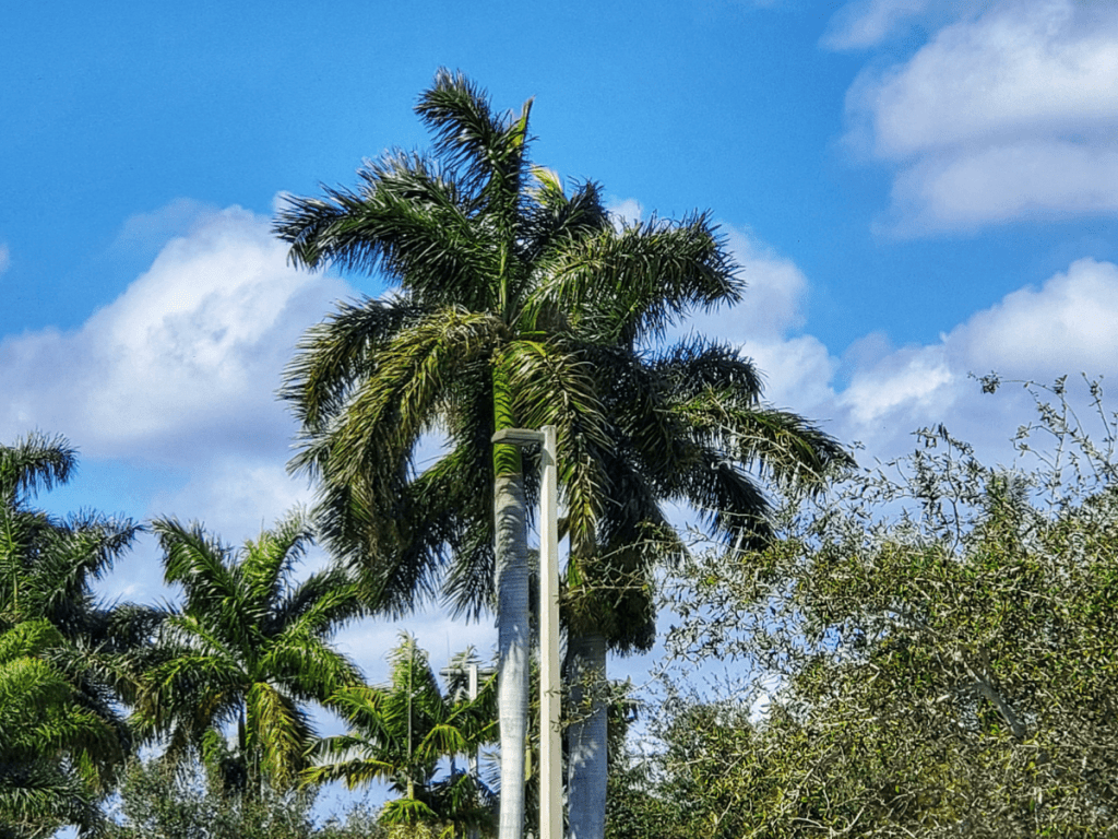 The End Of Trailer Life – Another Newish&nbsp;Beginning