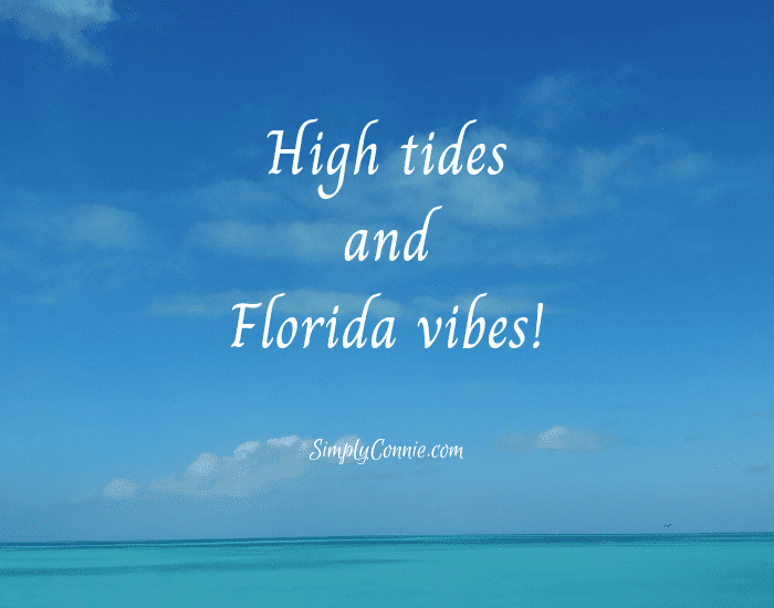Florida Keys ocean view with saying: High tides and Florida vibes.