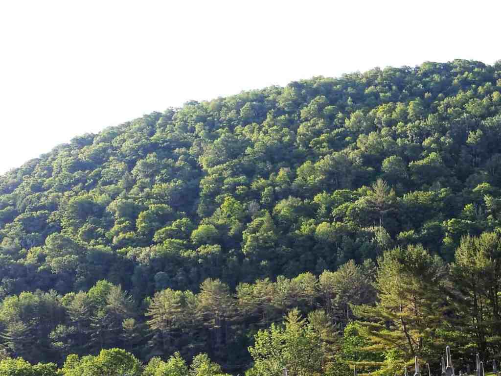 Reminiscing About My Adventure In Sharon,&nbsp;Vermont