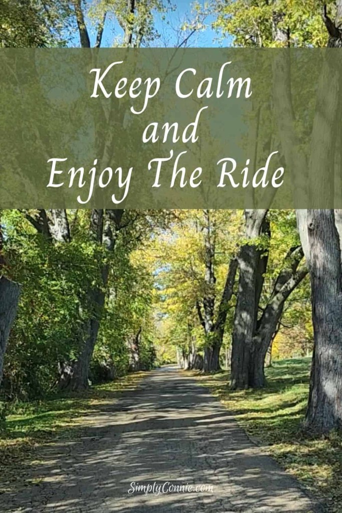 Keep calm and enjoy the ride. SimplyConnie.com
