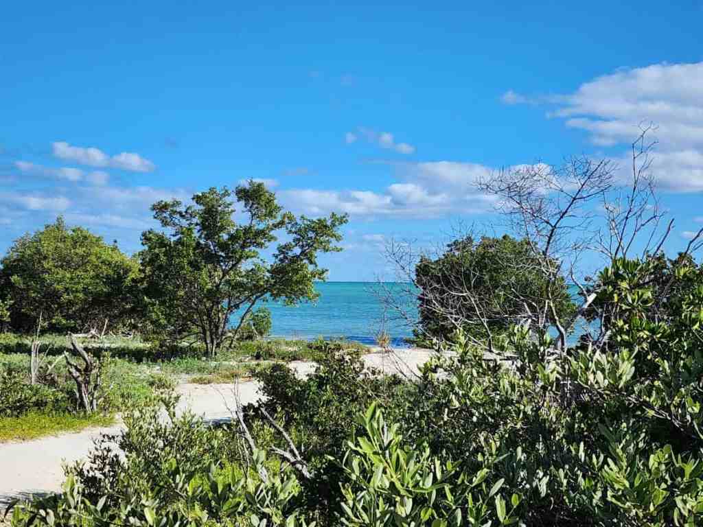 Simple Living vs Cluttered Living – It’s Not Always About Your&nbsp;Belongings