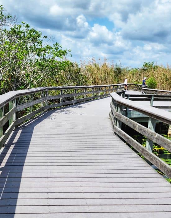 Boardwalk over the Everglades