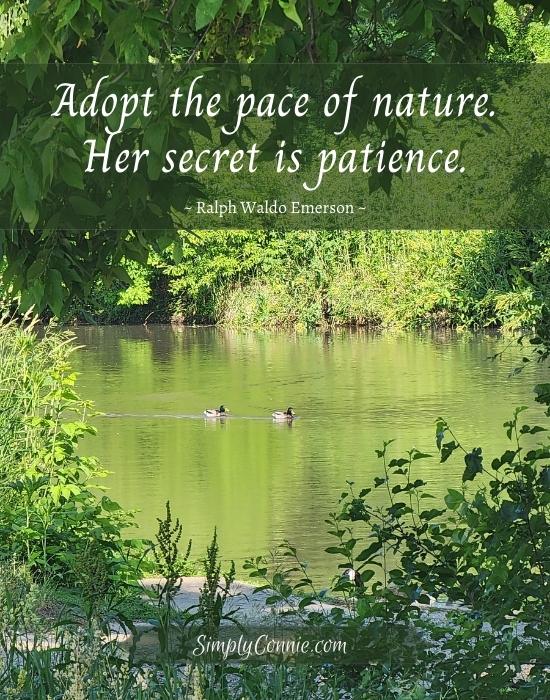Adopt the pace of nature. Her secret is patience. Ralph Waldo Emerson. Quotes about nature.