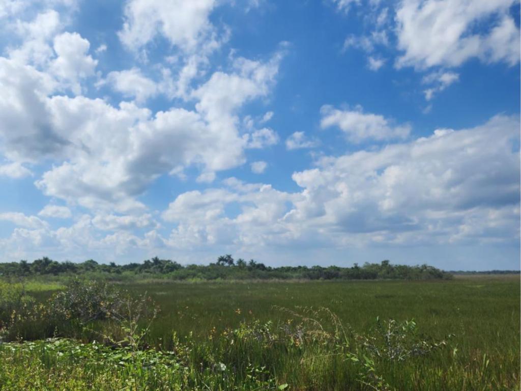 What Could You Do More Of? The Magic Is In The&nbsp;Answer