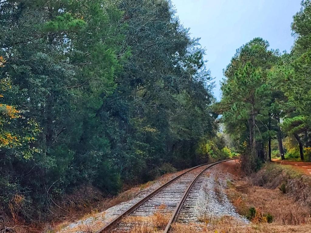 I Lost The Internet, Found A Screw and Kept My&nbsp;Sanity