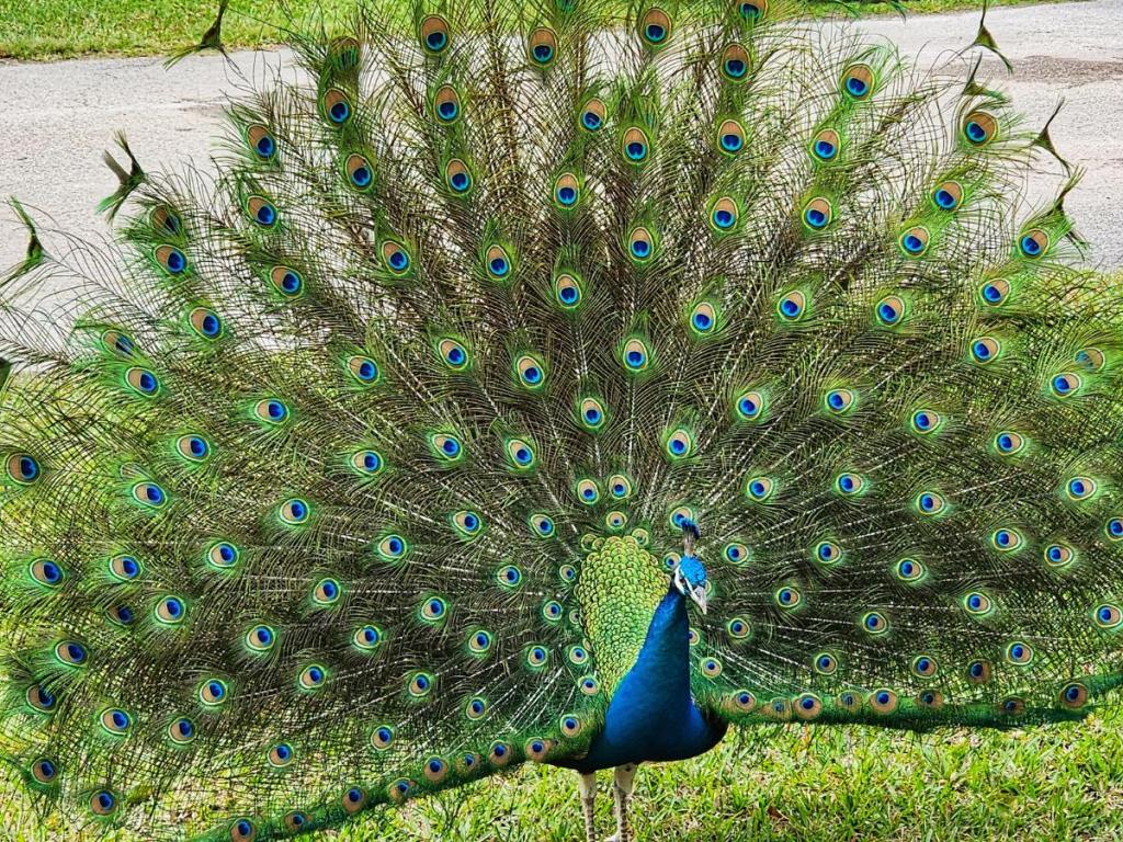 Southern Comfort RV Park Florida City