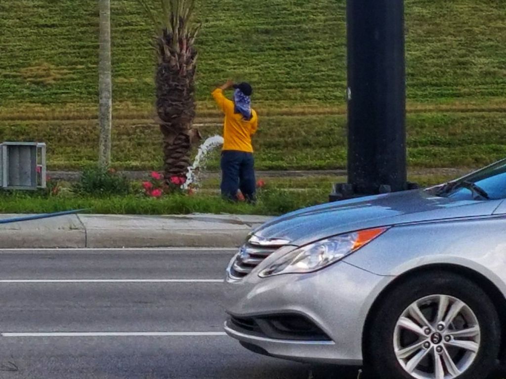 Is this man watering flowers or does he really gotta go?