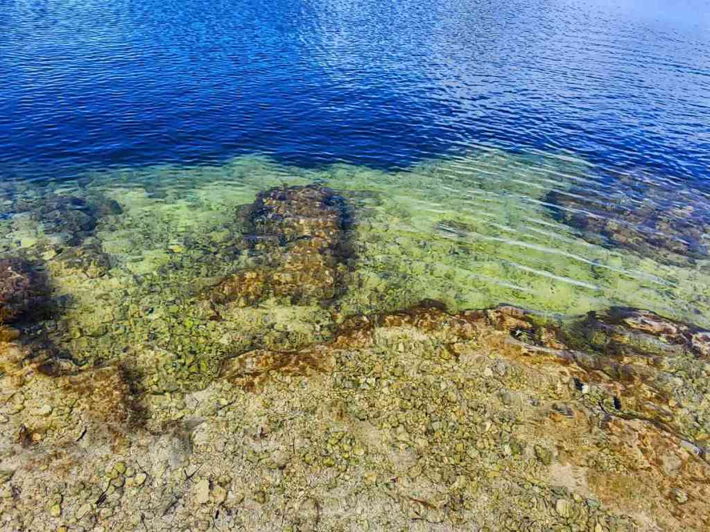 Wordless Wednesday – When The Reflection Looking Back Isn’t&nbsp;You