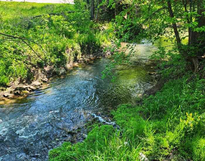 The ripples in the water of a babbling brook called Indian Creek.