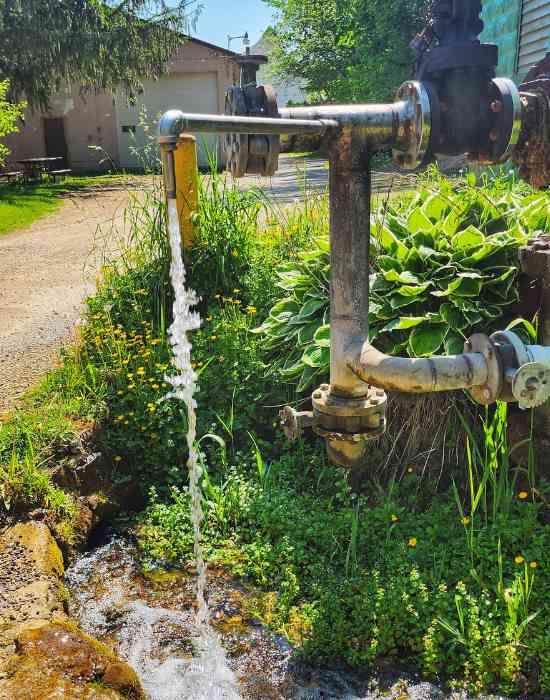 Water flowing from the natural artesian well