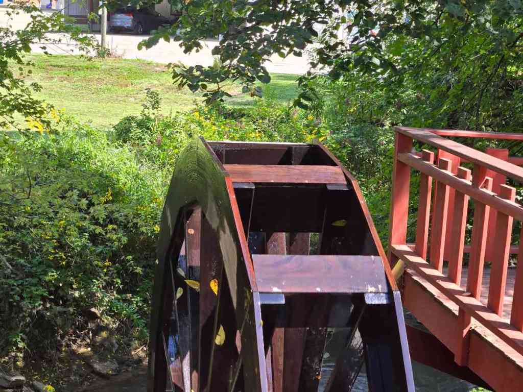 A New And Exciting Discovery At Paradise&nbsp;Cove