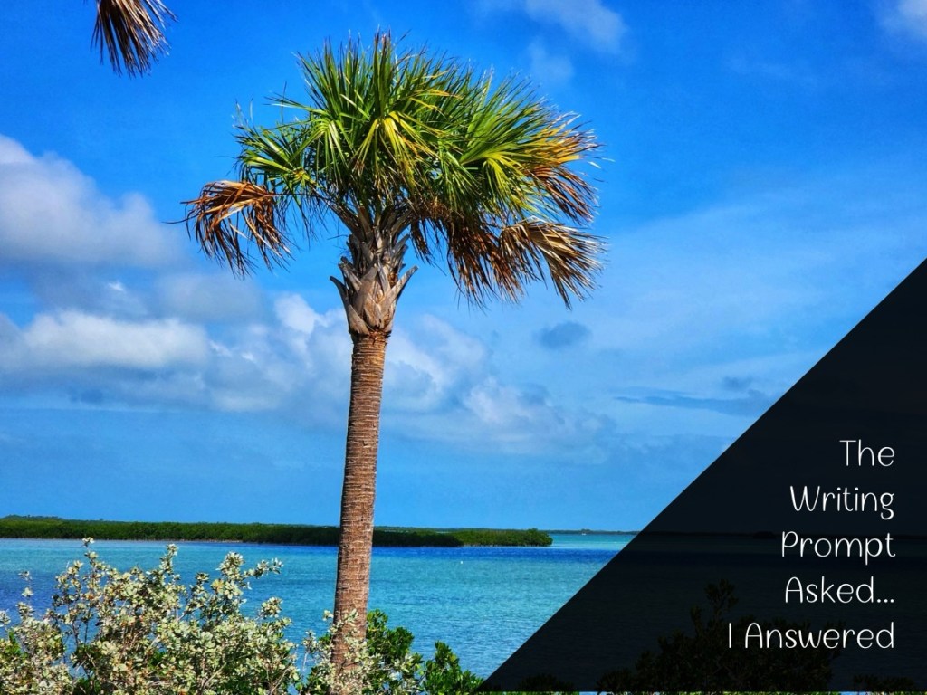 Attempting to Share Five Things I’m Good&nbsp;At