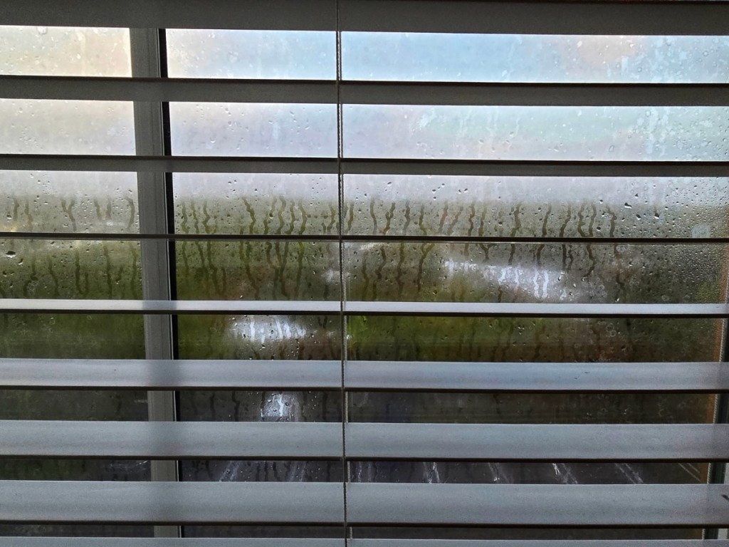 The Best of Both Worlds: Re-Evaluating the Nomadic&nbsp;Life